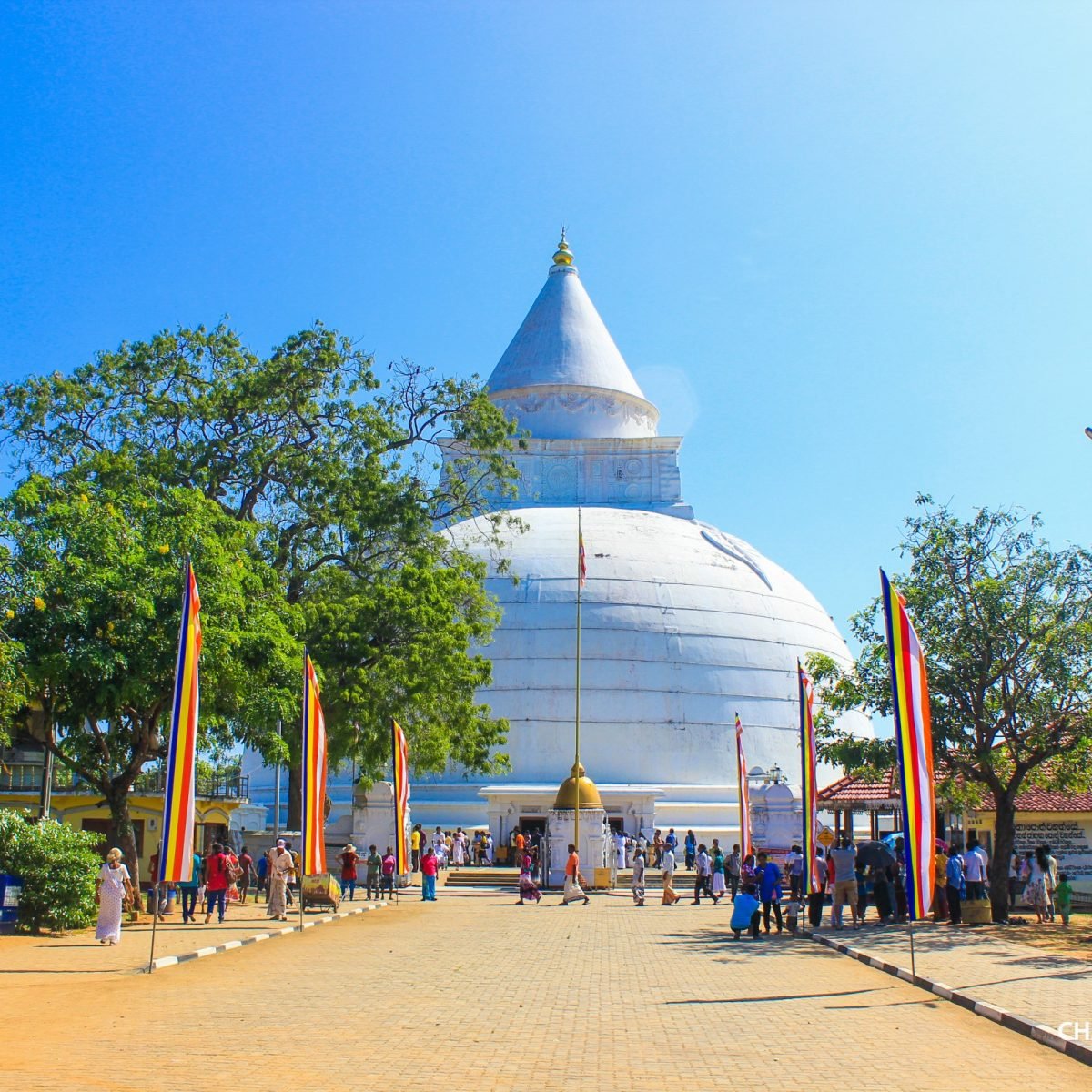 Tissamaharama_Raja_Maha_Vihara_Photos_By_360viewlk-3-1