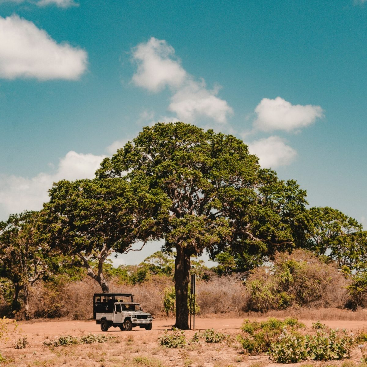 fergus-so-c33FdqxHKxE-unsplash