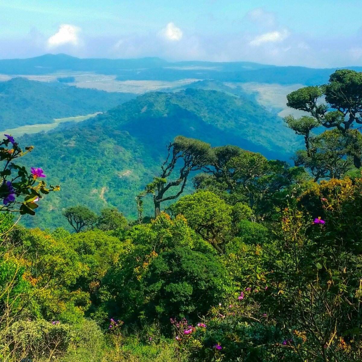 ishan-kahapola-arachchi-SvTVnah8jUk-unsplash