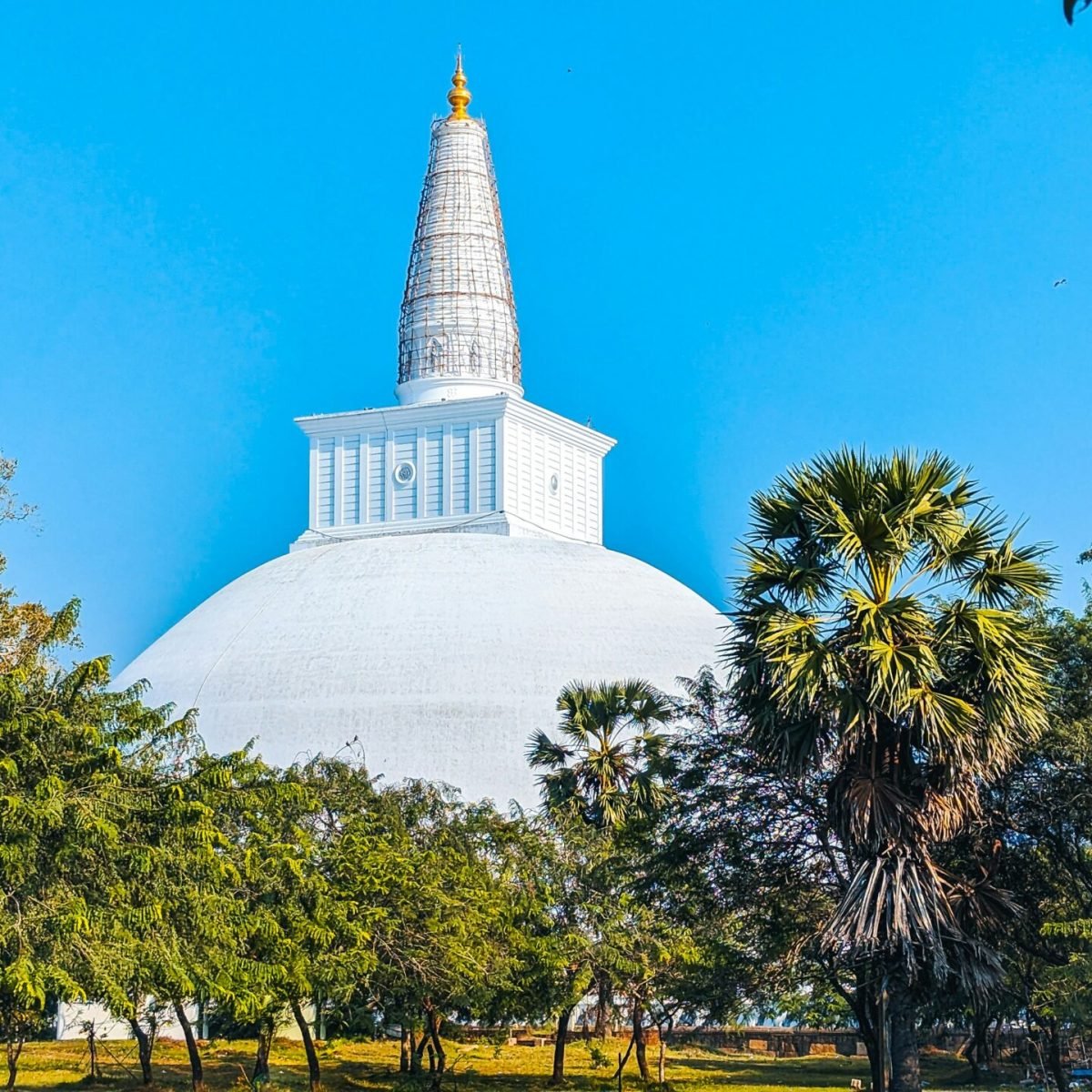 ishan-kahapola-arachchi-fQe-2x2YflU-unsplash (1)