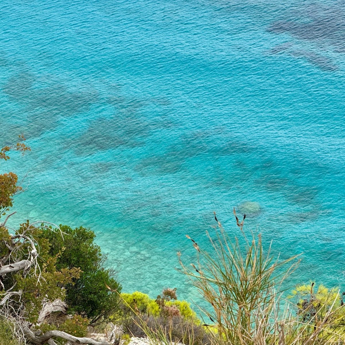 pexels-bejerita-marius-509089802-34158202