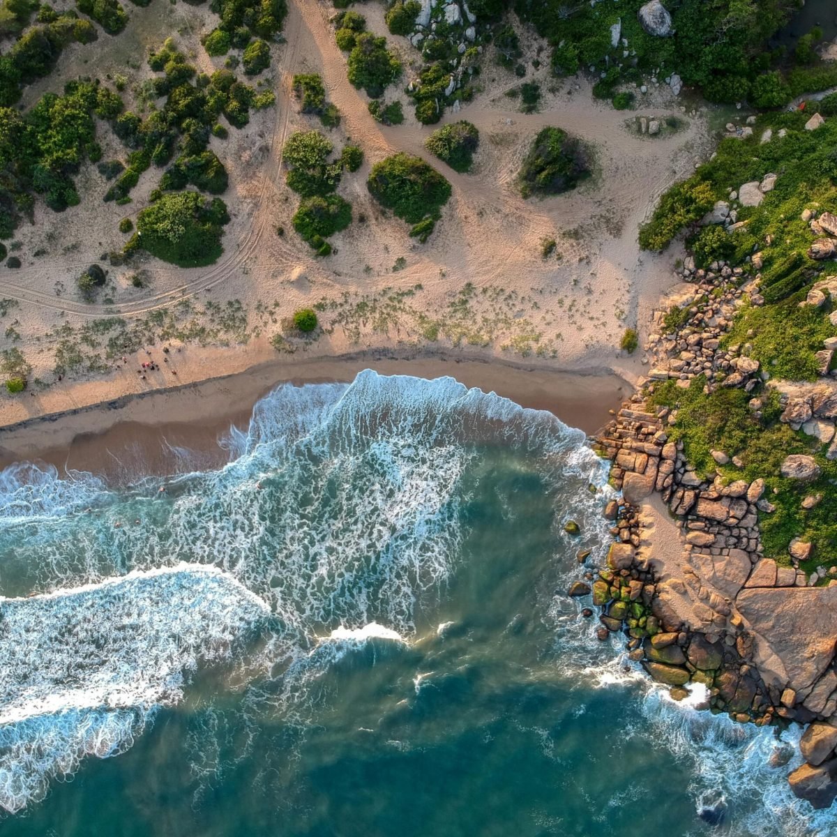 pexels-tomas-malik-793526-1998438 (1)