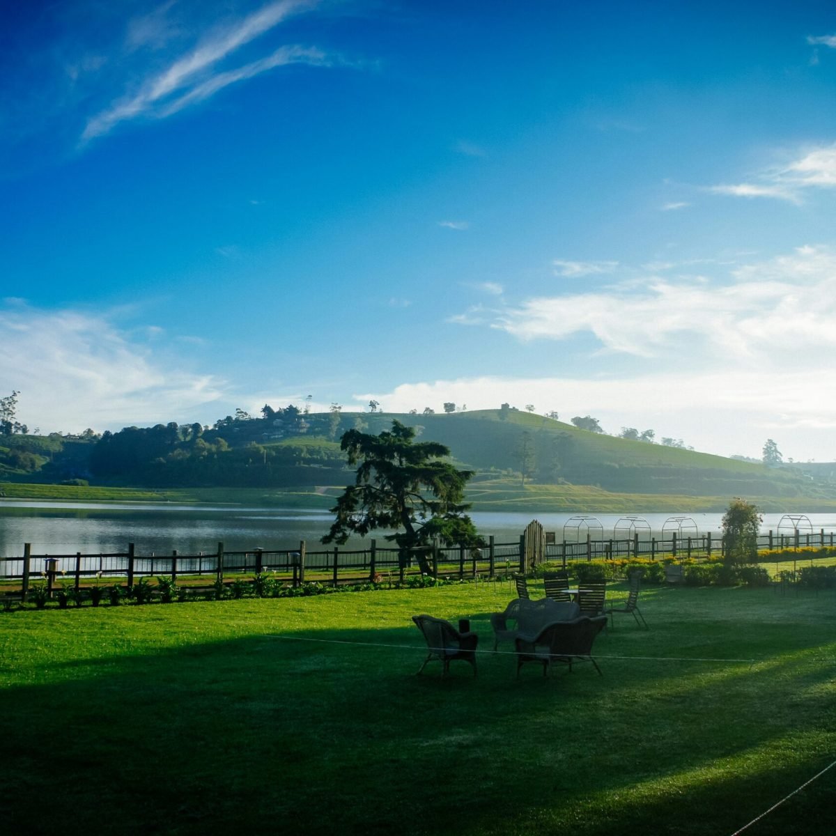 subodha-karunarathne-PuWCoG8WHok-unsplash (1)